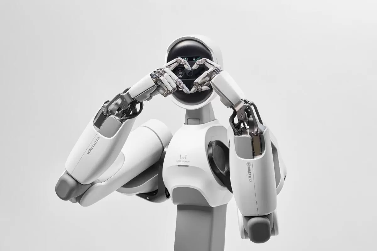 Robótica humanoide